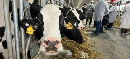 В Томской области открылся животноводческий комплекс. Фото: www.tomsk.gov.ru