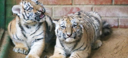 Фото: www.mos.ru