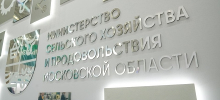 Фото: Пресс-служба губернатора Московской области, Александра Степанова