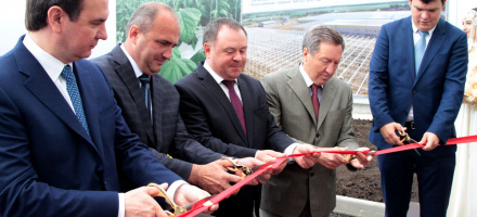 Начал работу тепличный комбинат «Елецкие овощи»
