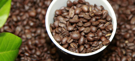 В Липецкой области открылись новые предприятия