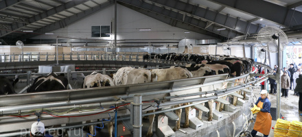 Развитие АПК в Пензенской области