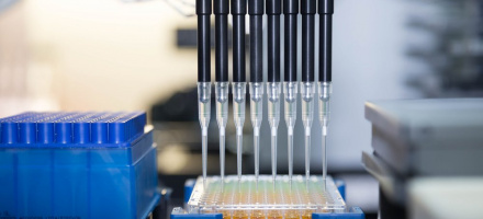 В России открыли революционный природный антибиотик