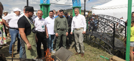 «Башкирская лошадь»