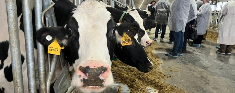 В Томской области открылся животноводческий комплекс. Фото: www.tomsk.gov.ru